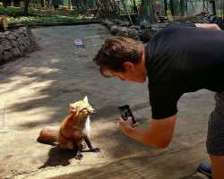 He has immense love for animals and loves to capture them and also to spend his leisure time around them.